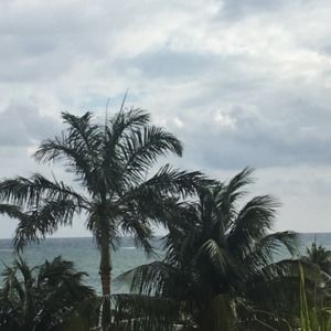 Meet your Posher, Sydney